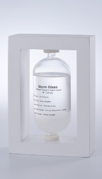 天気管 Storm Glass 2 ホワイト
