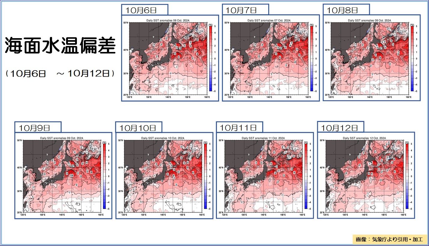 TOPICS摜