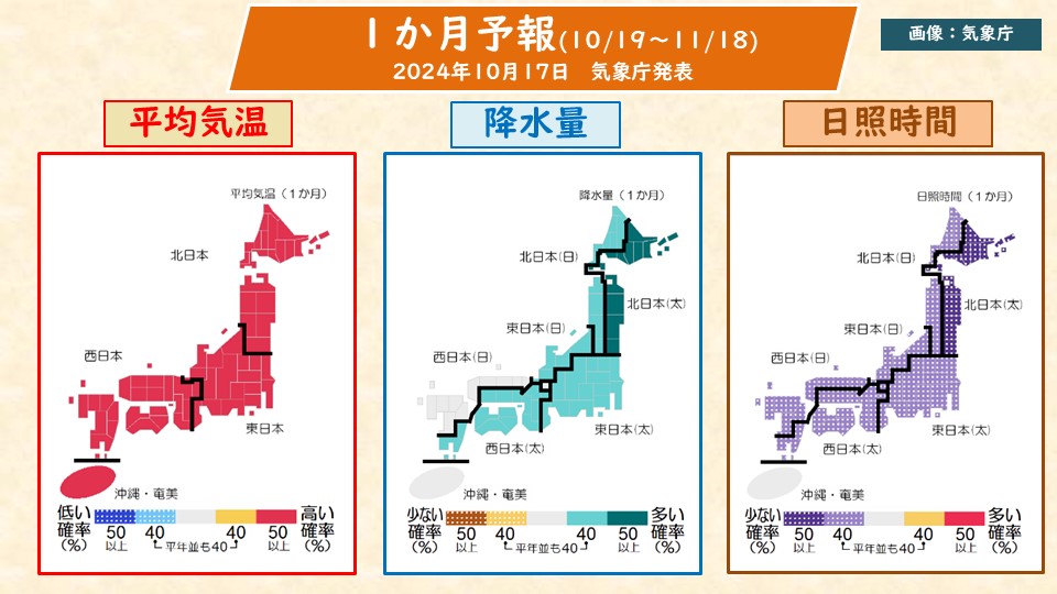 TOPICS摜