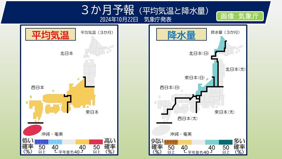 TOPICS摜