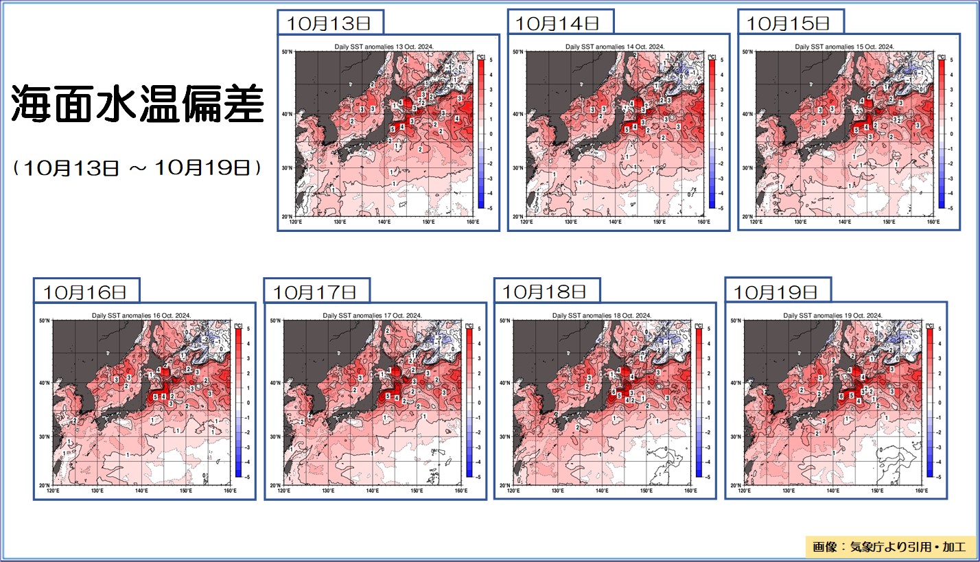 TOPICS摜