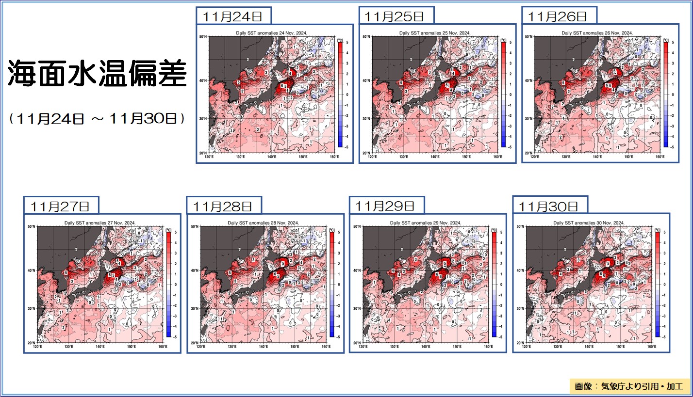 TOPICS摜