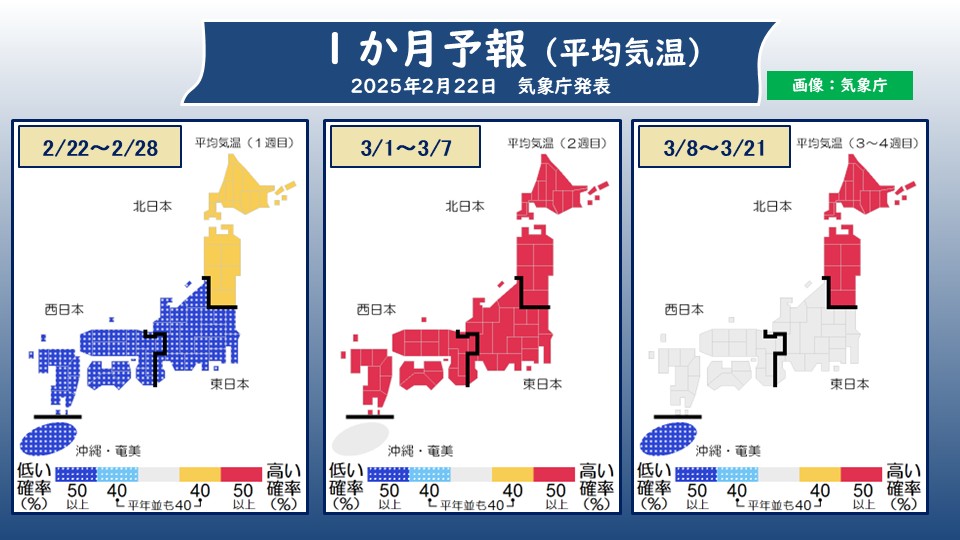 TOPICS摜