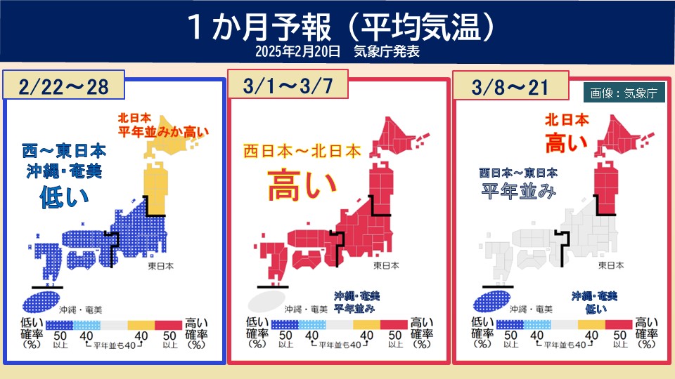 TOPICS摜