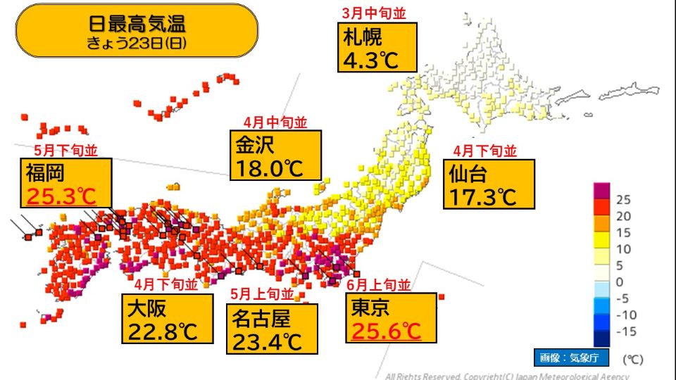 TOPICS摜