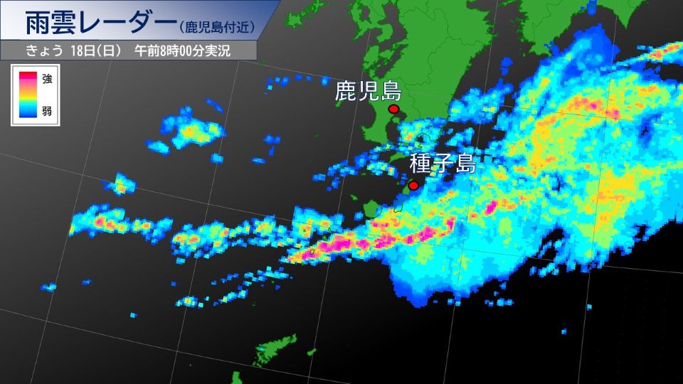 TOPICS摜