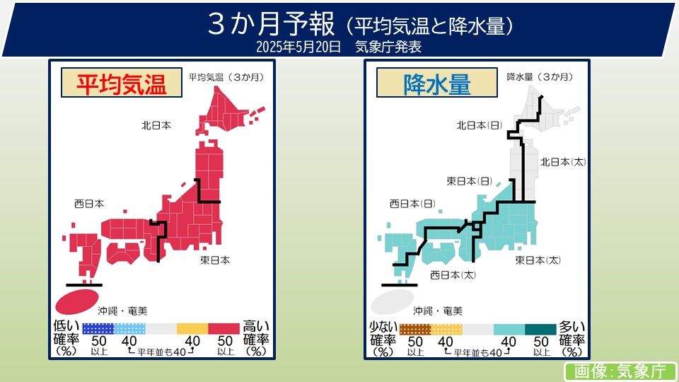 トップページ