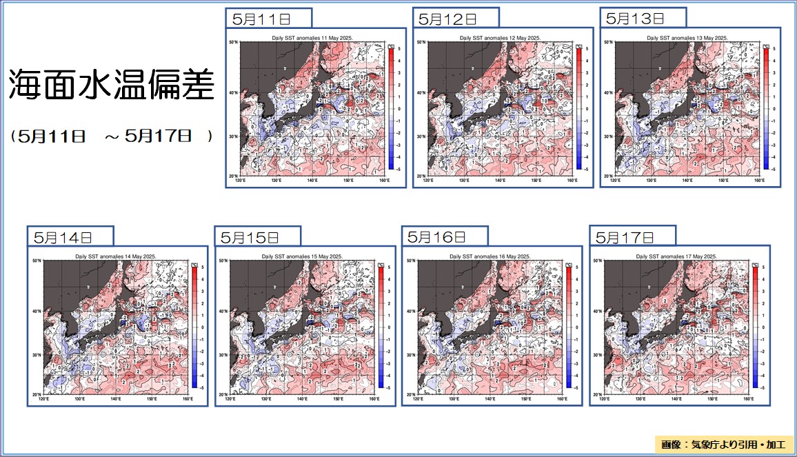 トップページ