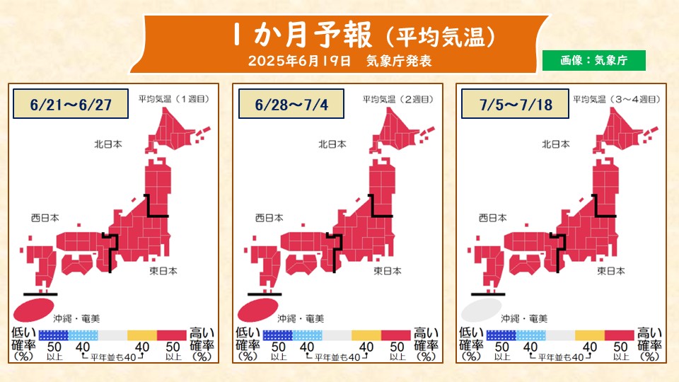 トップページ