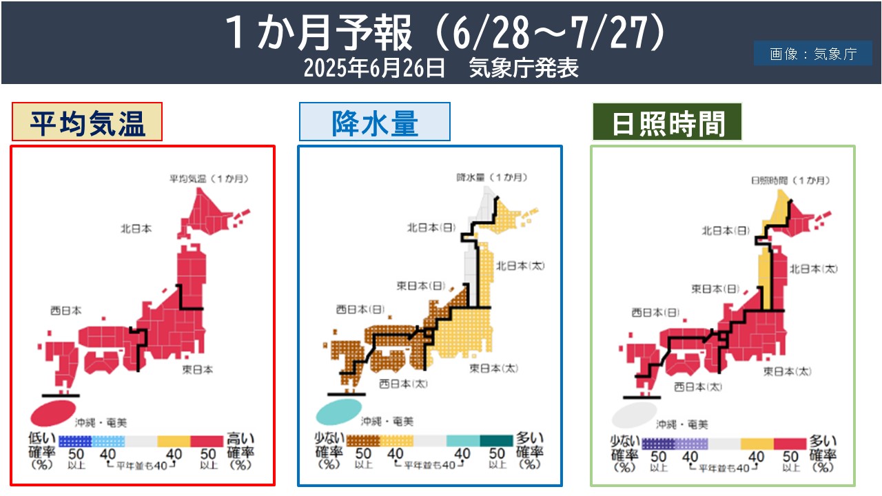 TOPICS摜