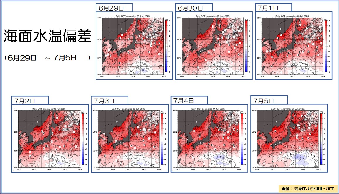 TOPICS摜