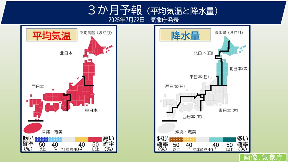 TOPICS摜