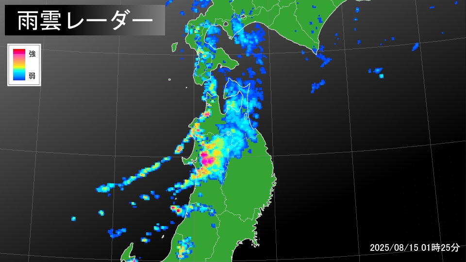 TOPICS摜