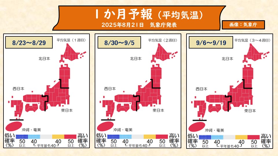 トップページ