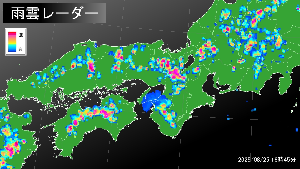 TOPICS摜