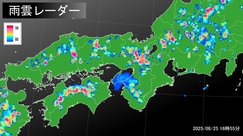 TOPICS摜