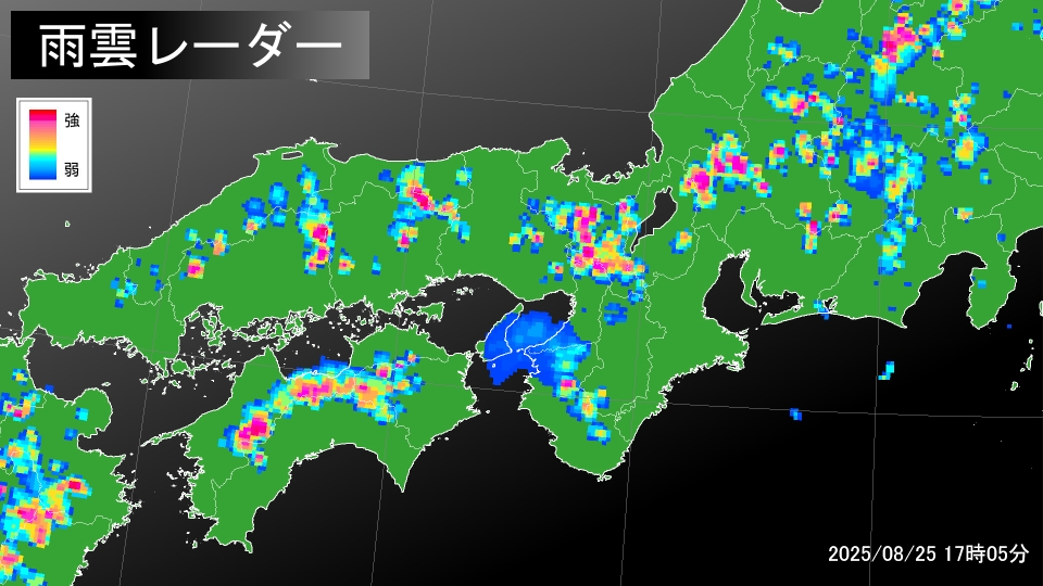 TOPICS摜