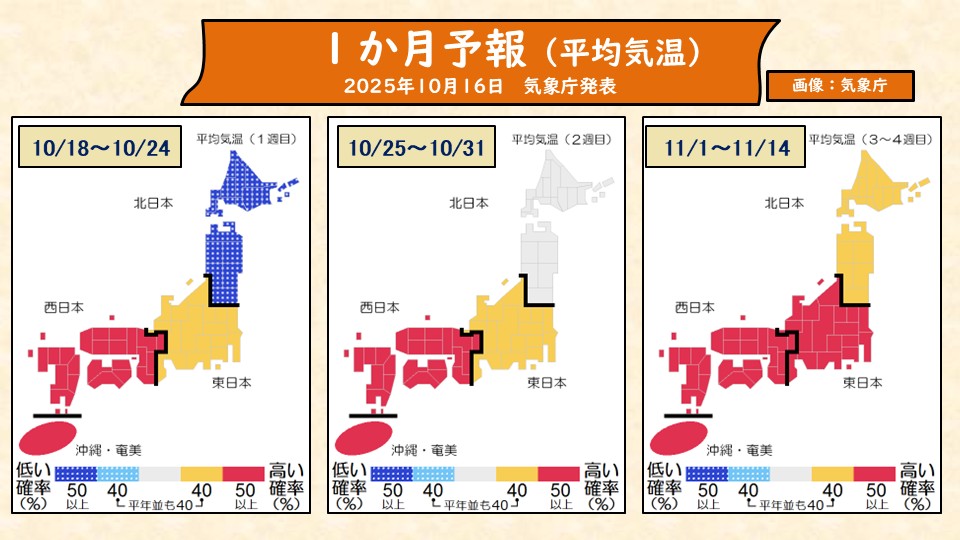 TOPICS摜