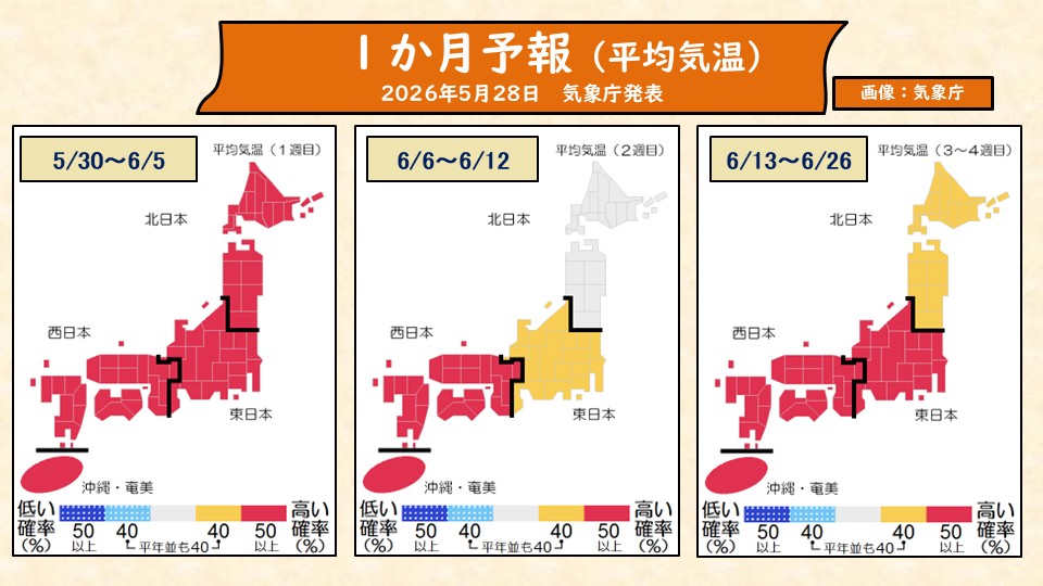 TOPICS画像