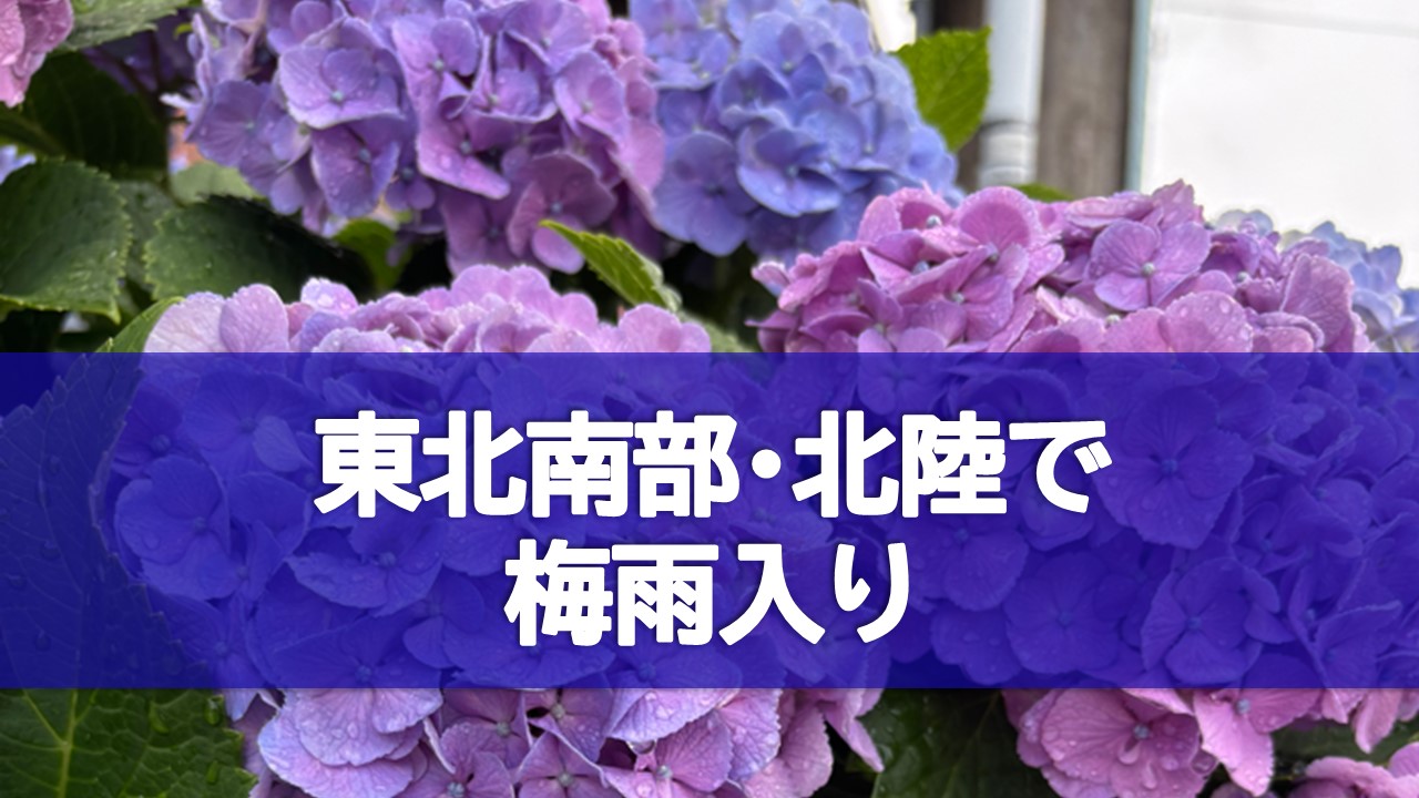 トップページ
