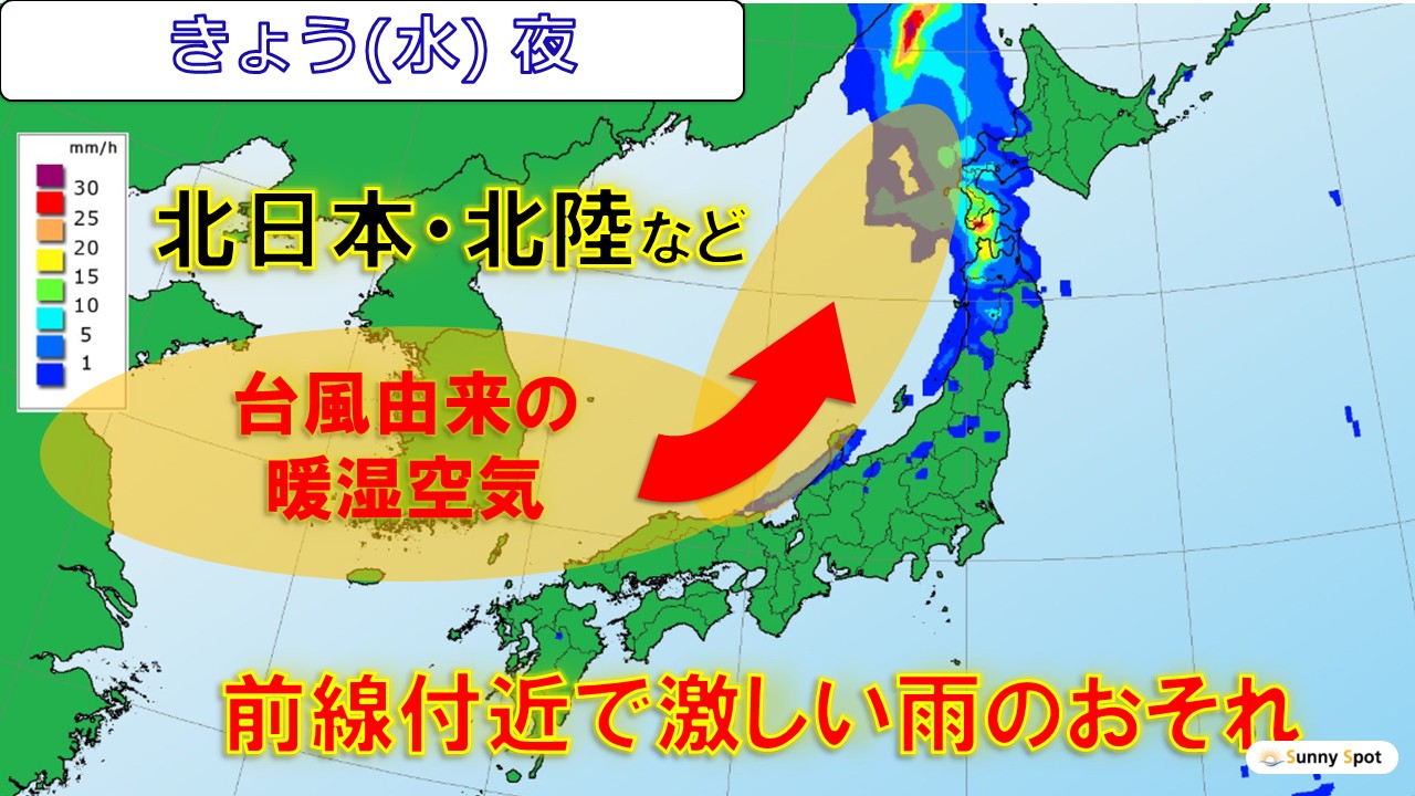 トップページ