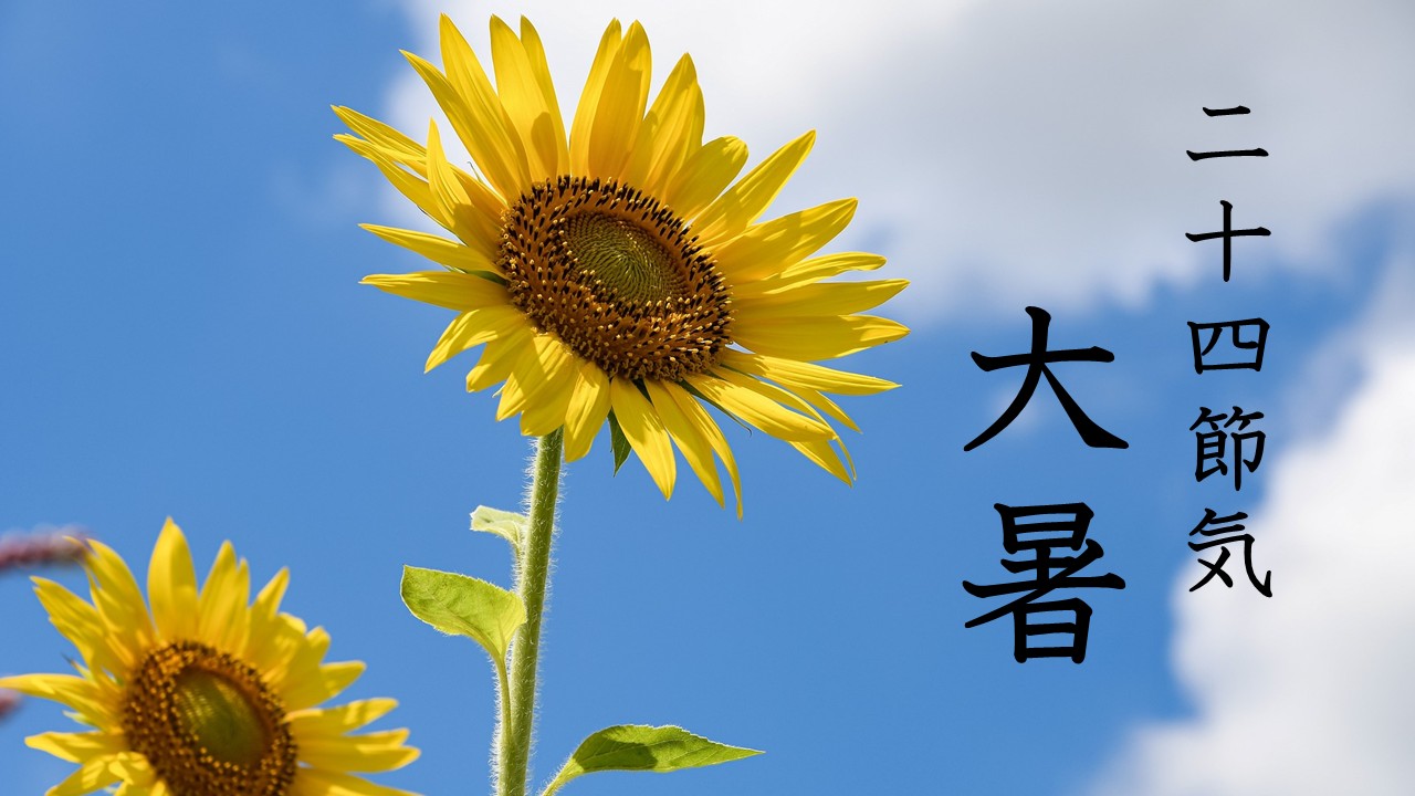 TOPICS�摜