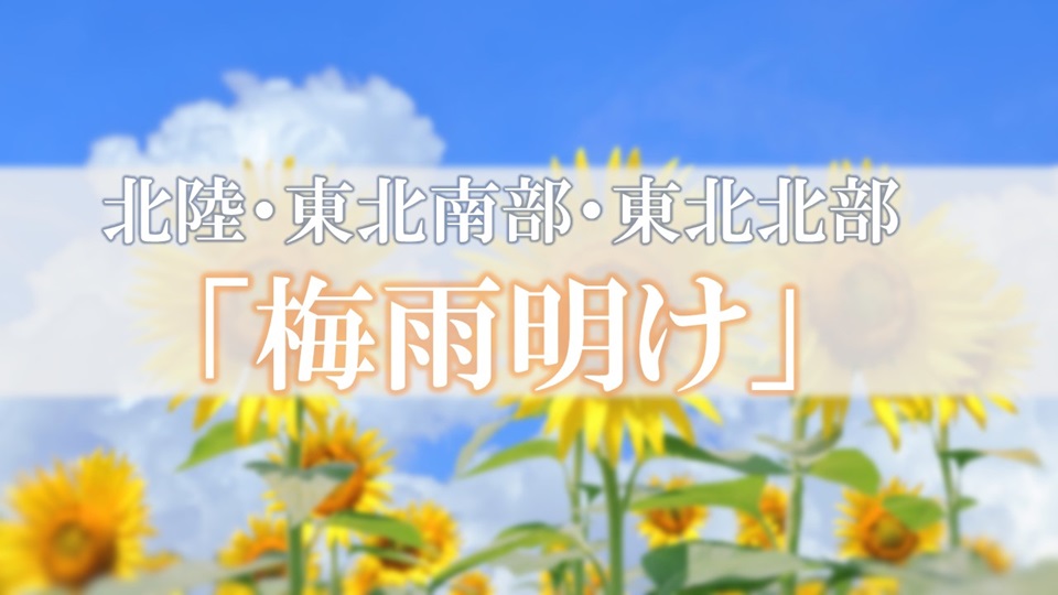 トップページ