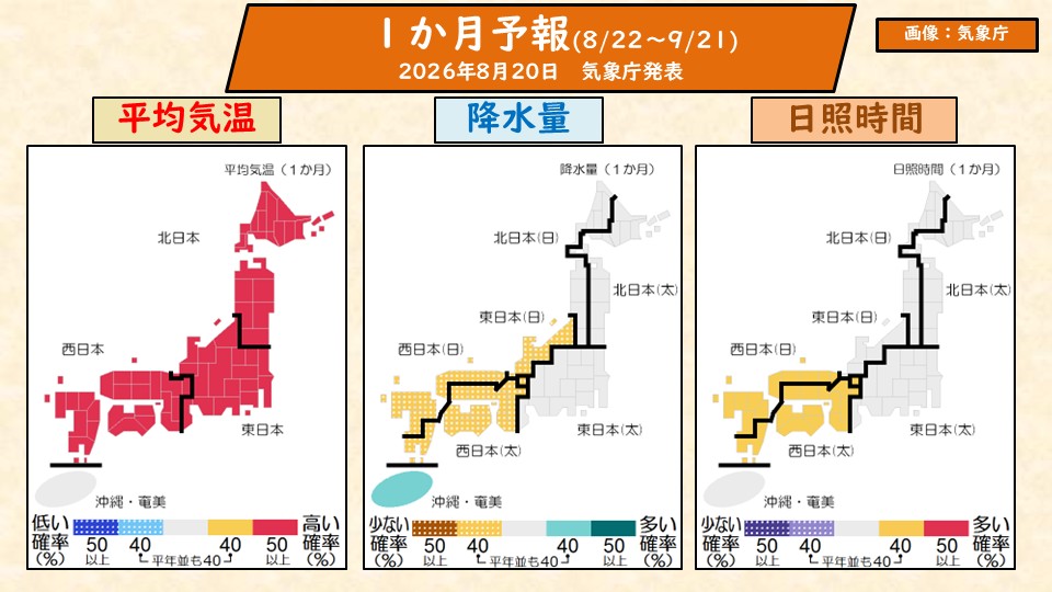 TOPICS画像