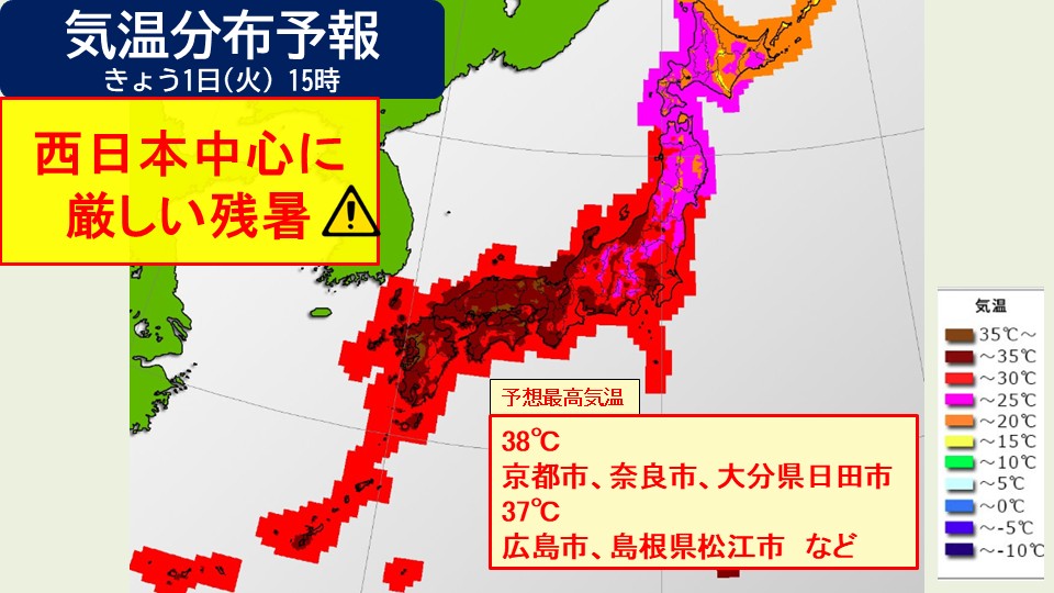 トップページ