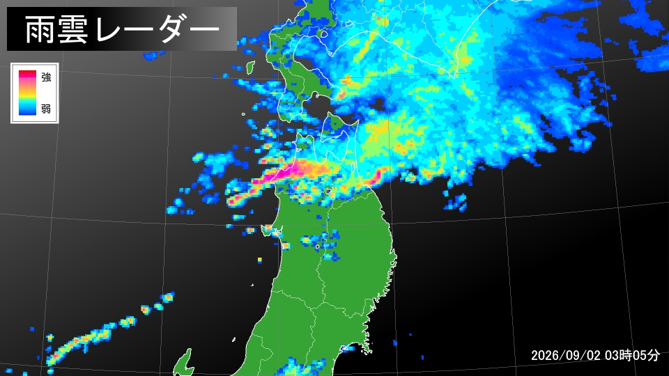 トップページ