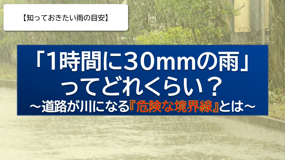 トップページ