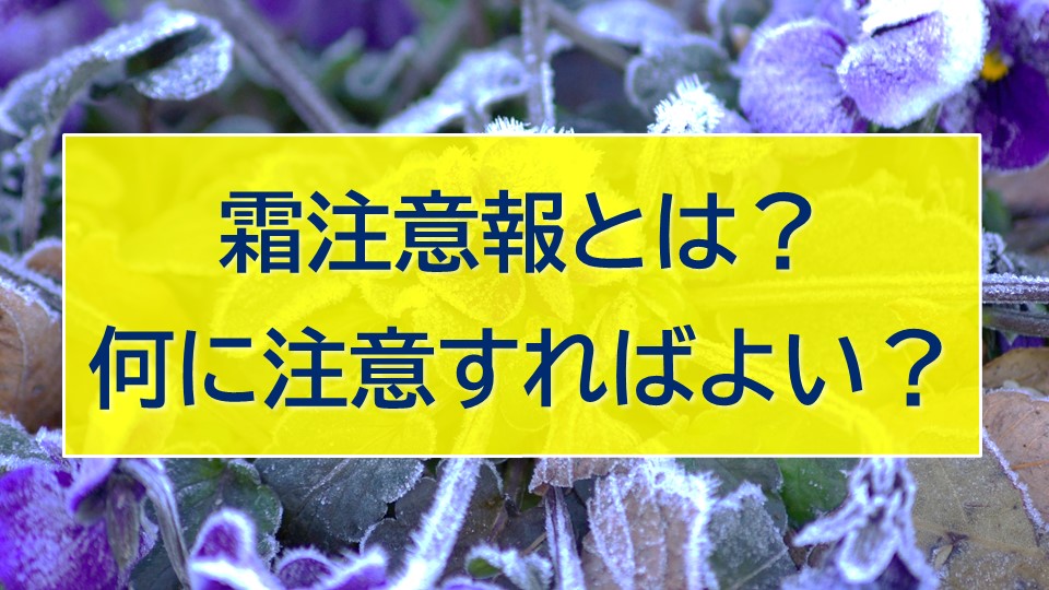 TOPICS画像